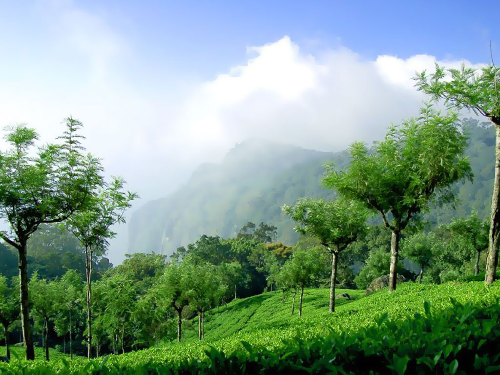 Coonoor-Tamil-Nadu