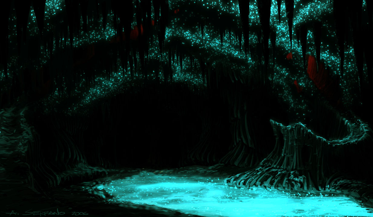 New Zealand’s Glow Worm Caves