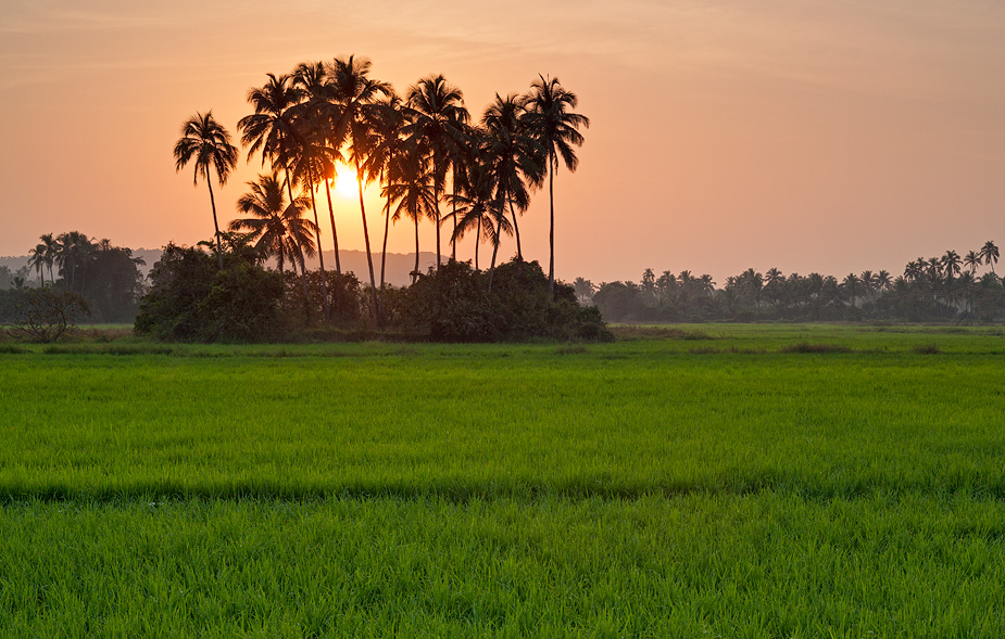 Late evening in Siolim