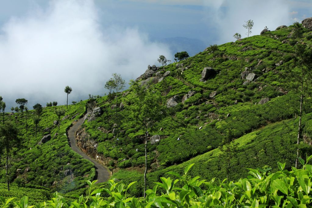 Haputale-Sri-Lanka