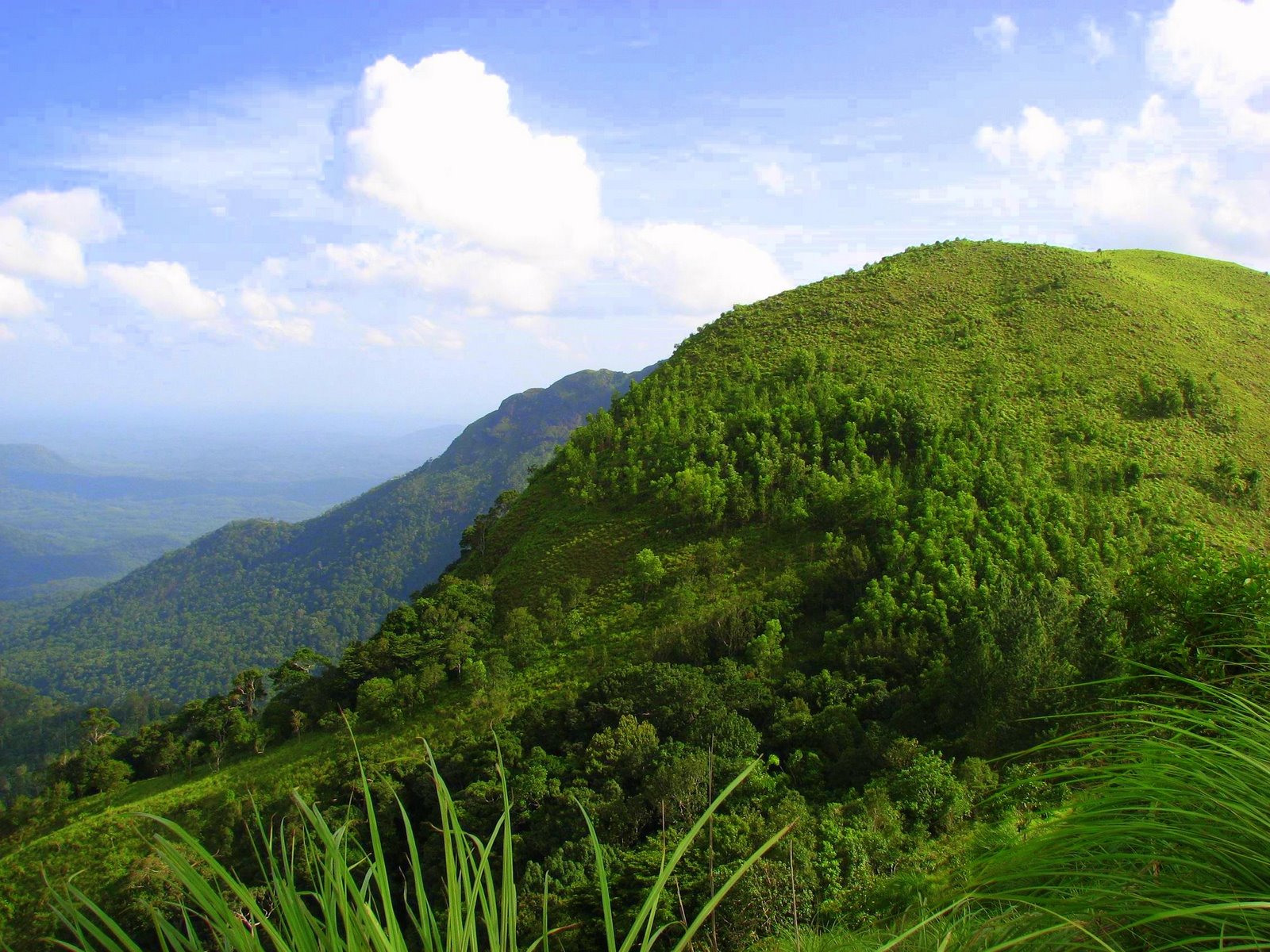 Ponmudi-Kerala