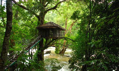 Wayanad-Kerala