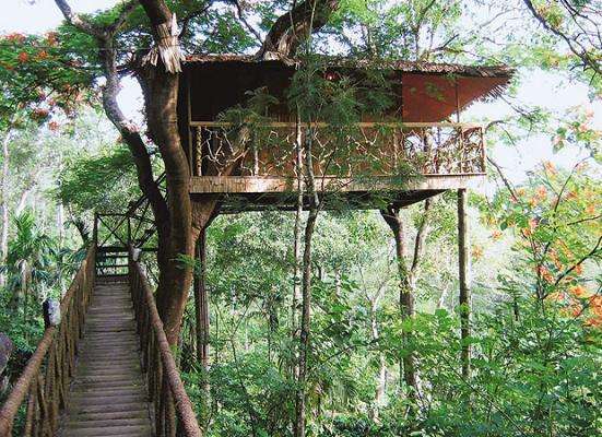 Wild Canopy Nature Reserve, Masinagudi