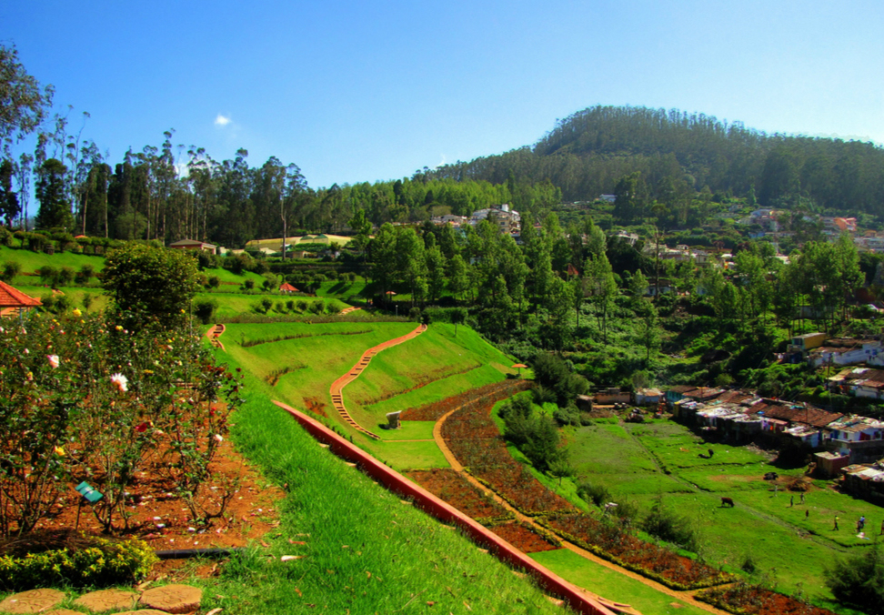 Botanical Gardens Ooty