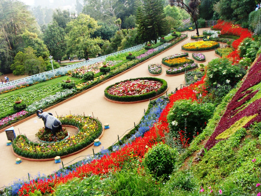 Ooty Flower Show Main II