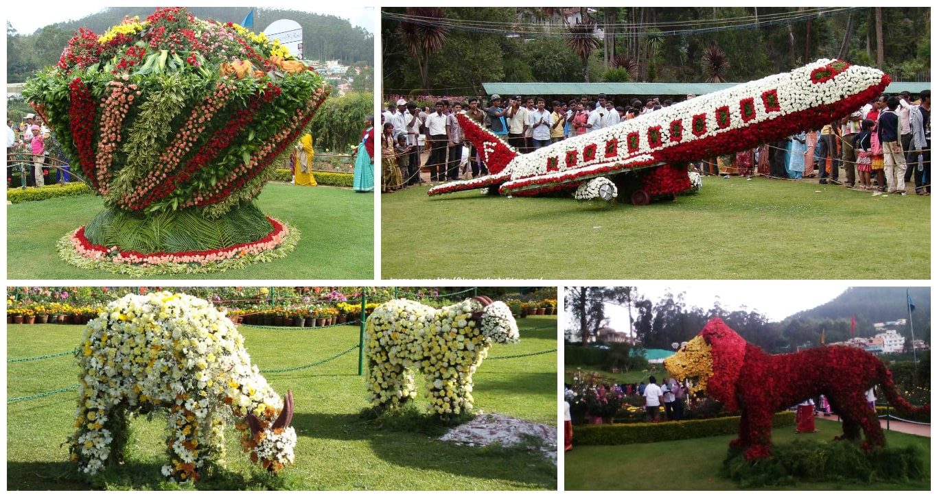 Image result for ooty flower show