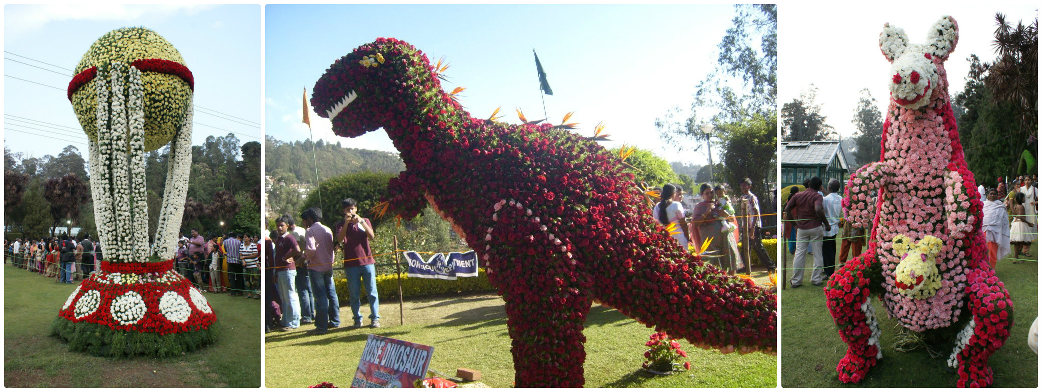 Ooty Gadens Festival