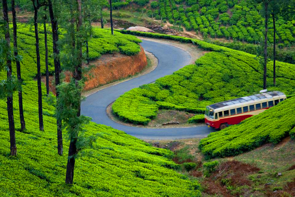 Romantic Weekend Getaways - Munnar