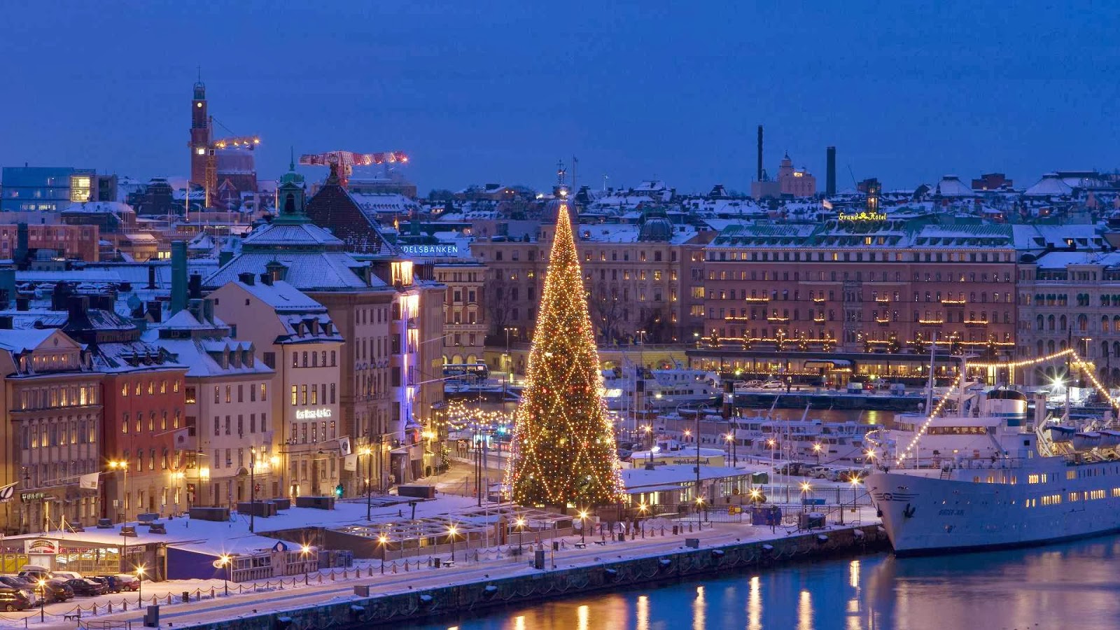 Christmas-tree-Winter-Stockholm-Sweden-1080x1920