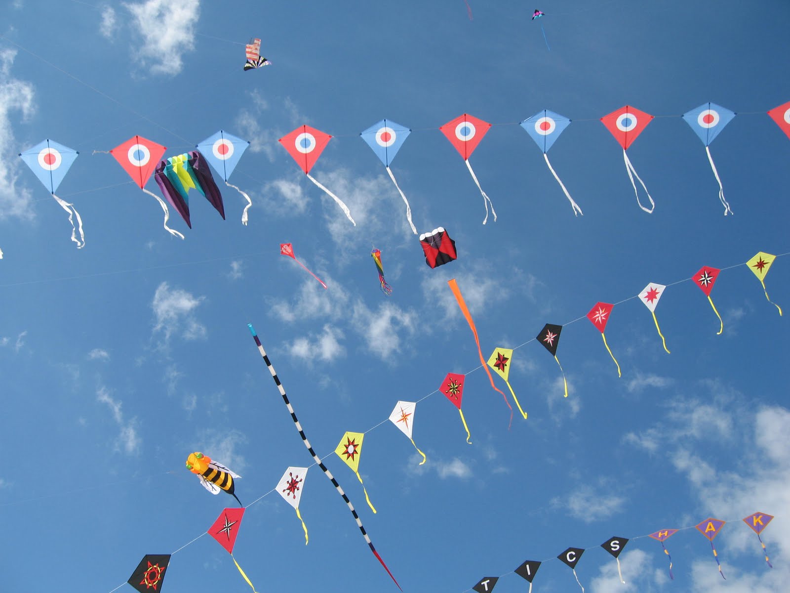 Soar High at the International Kite Festival 2017
