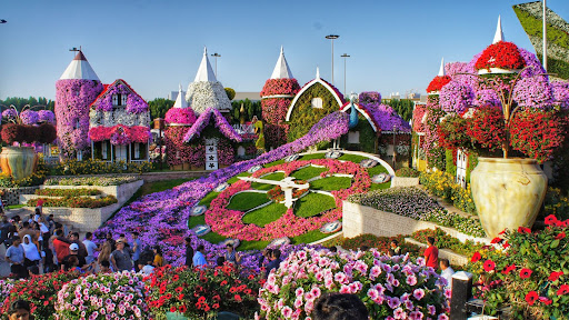 dubai miracle garden, one of the best places to visit in dubai