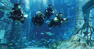 Scuba Diving - Adventures in Dubai