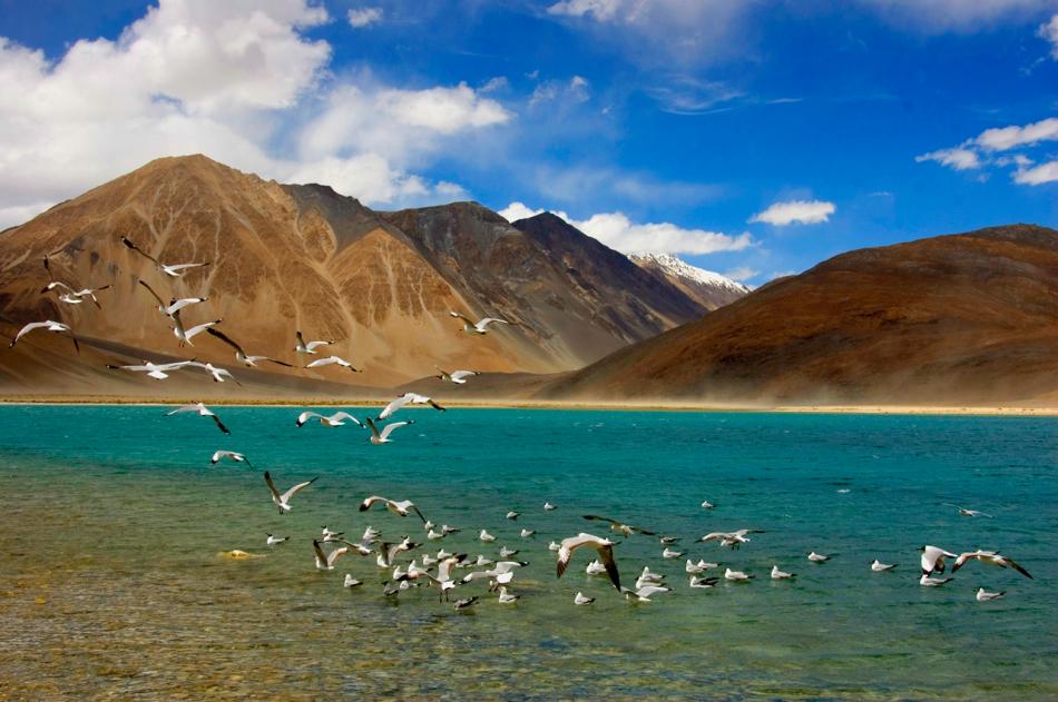 5 Places You Should Definitely Visit On Your Leh- Ladakh Trip