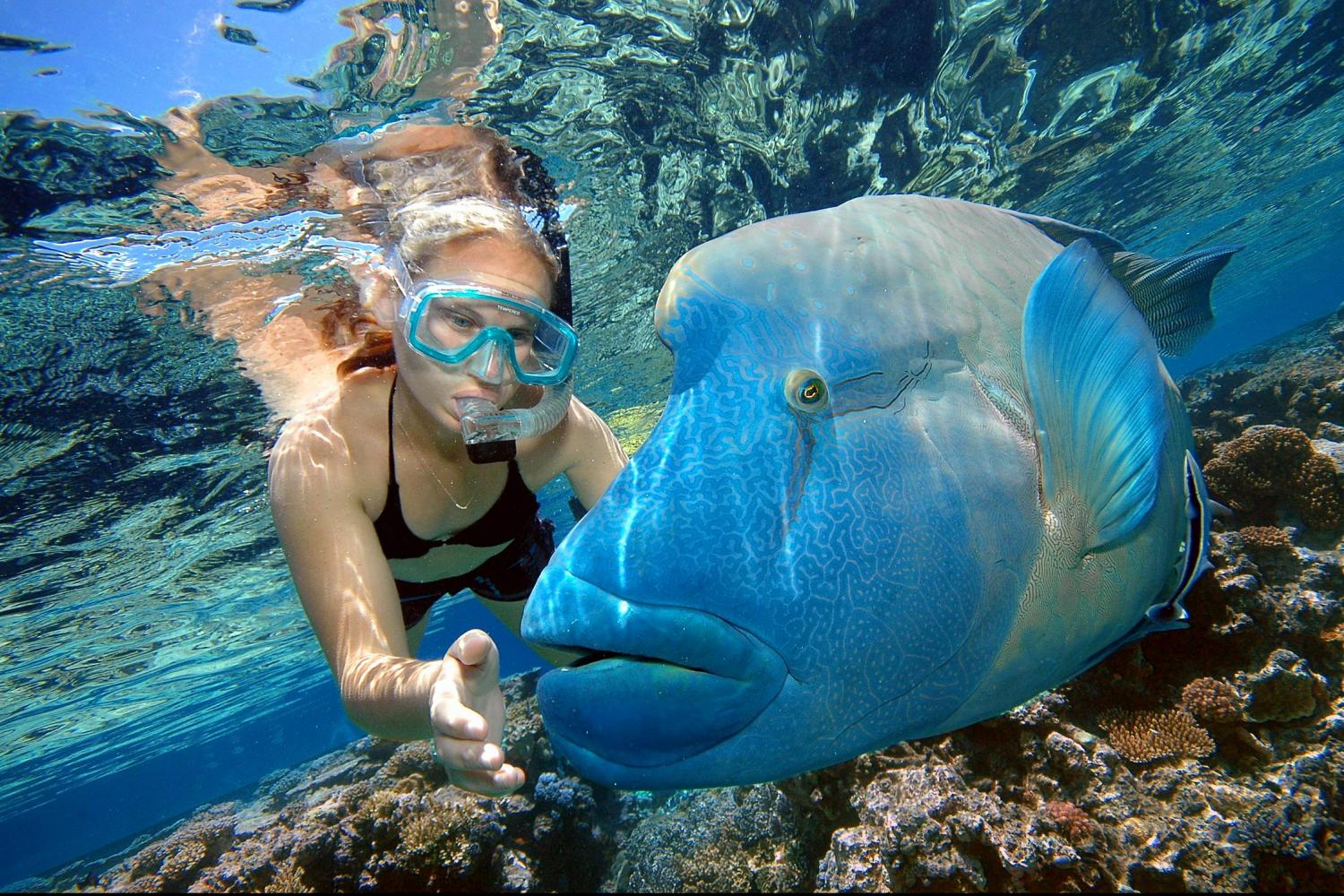 Best Underwater Experiences in the World