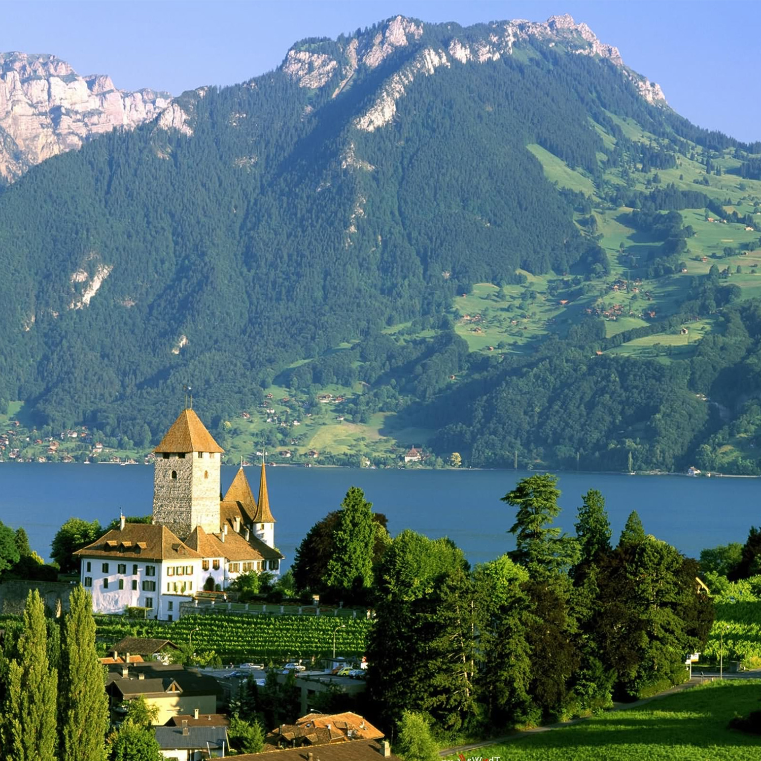 7 Quirky Things To Know About Switzerland